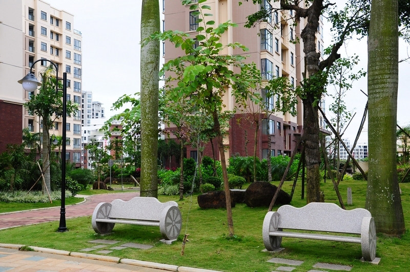 实景图