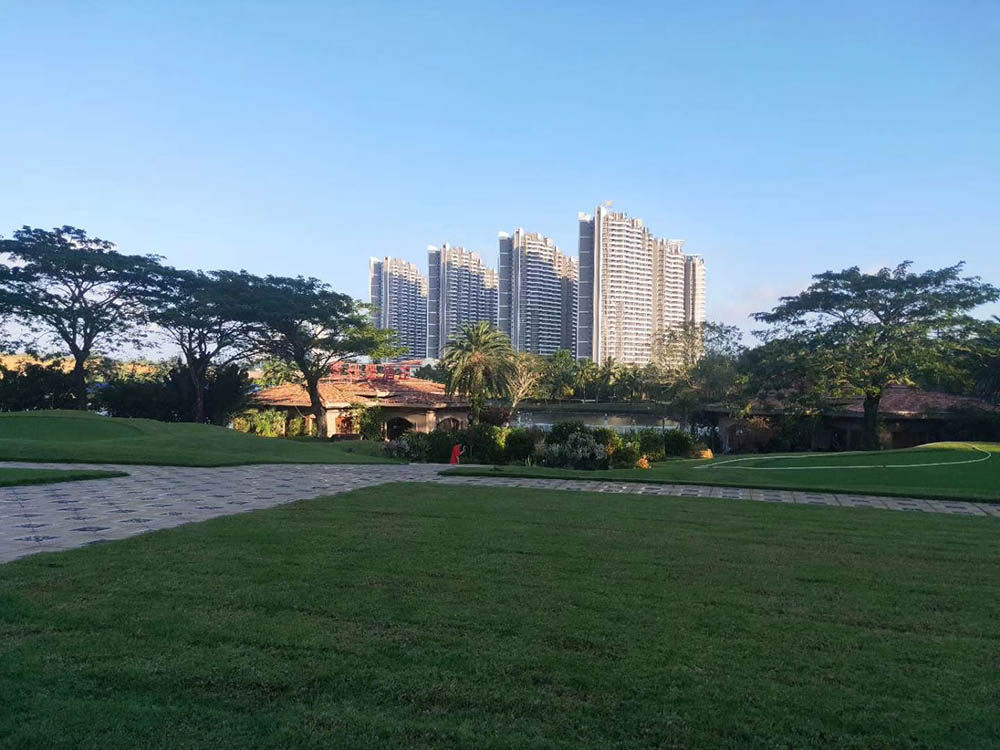 实景图