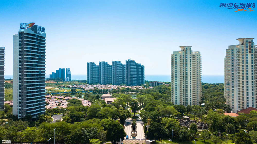 实景图