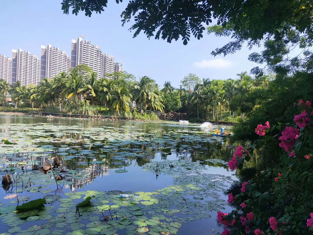 实景图