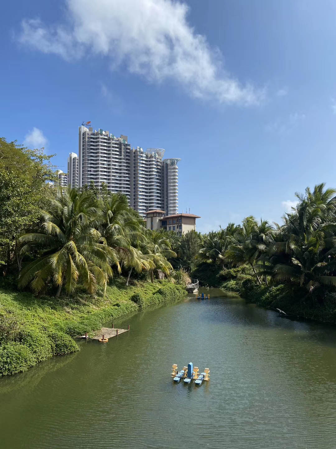 实景图