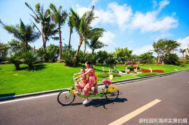 实景图