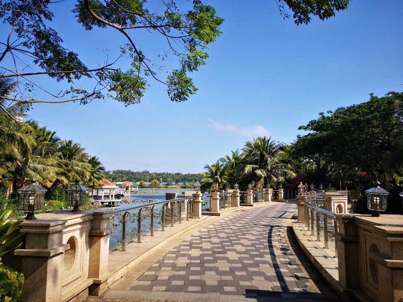 实景图