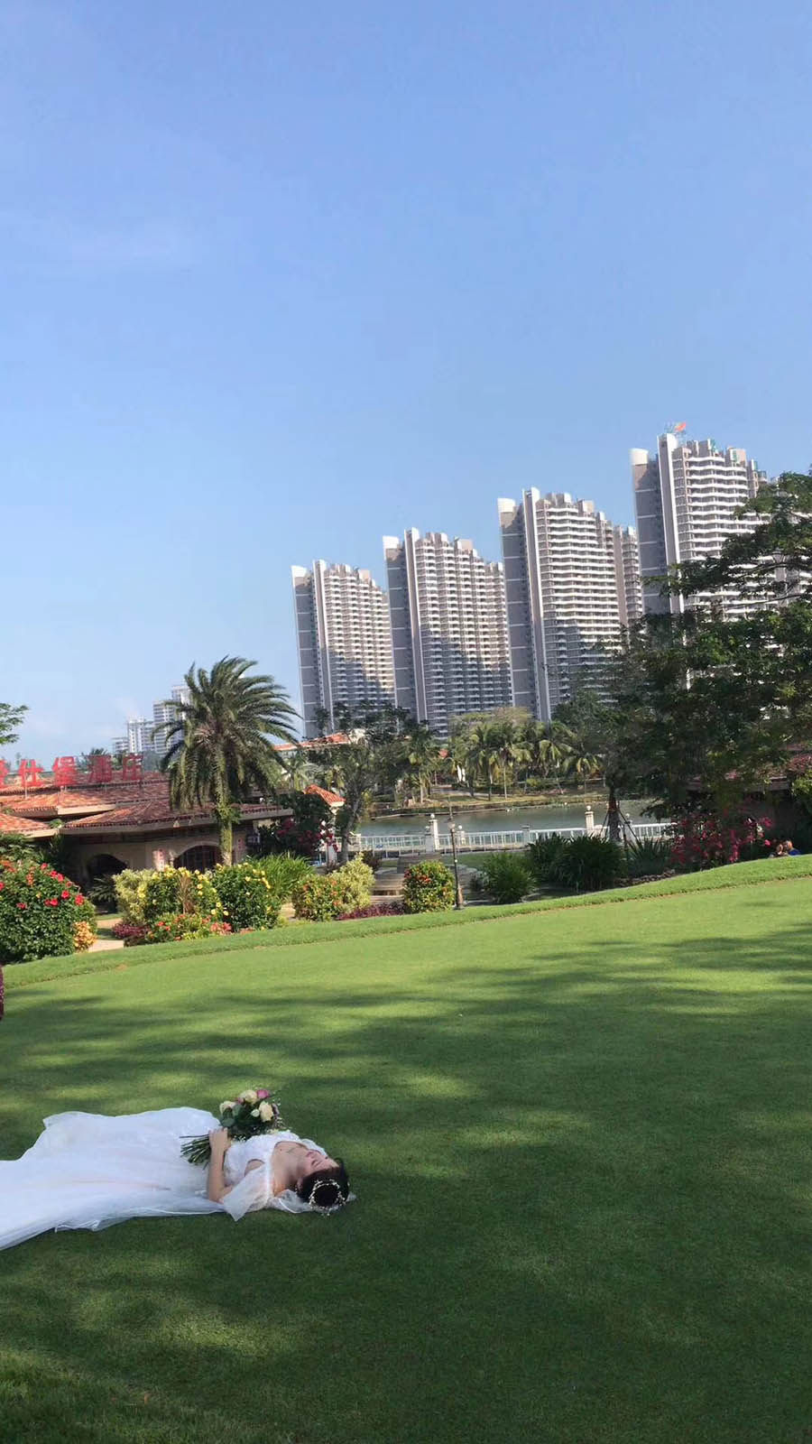 实景图