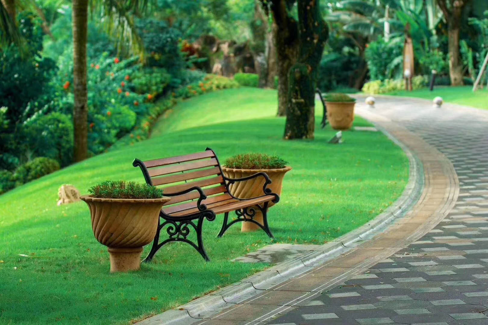 实景图
