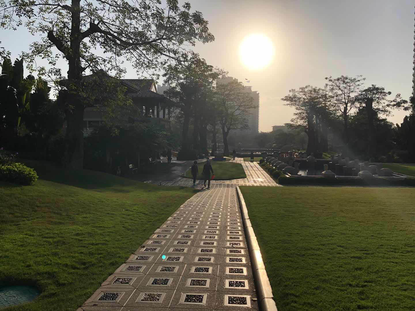 实景图
