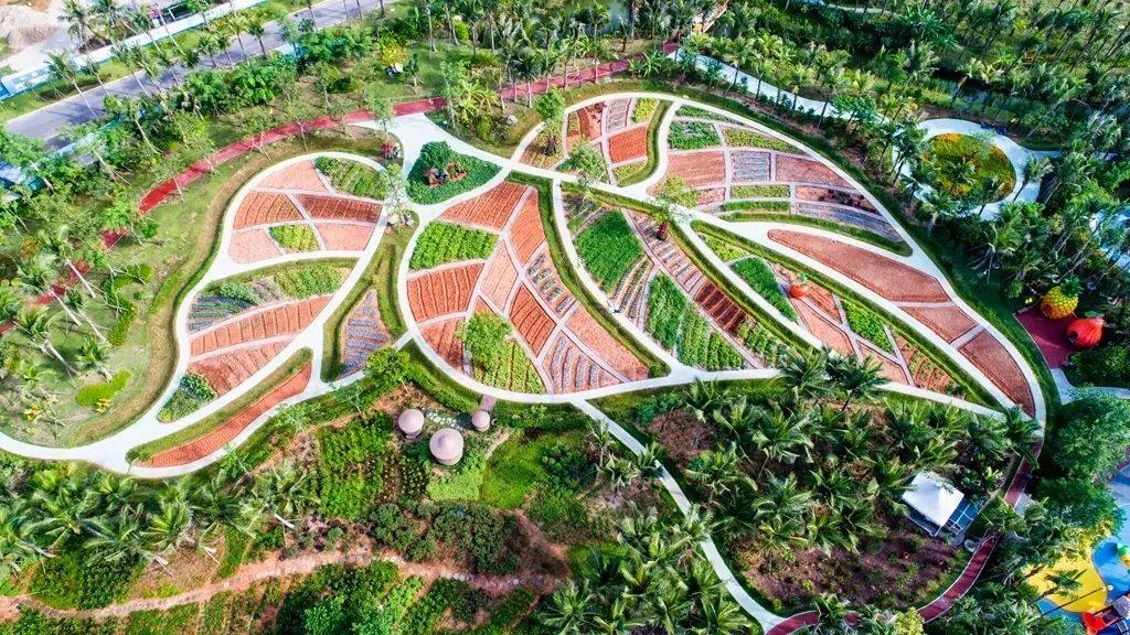 实景图