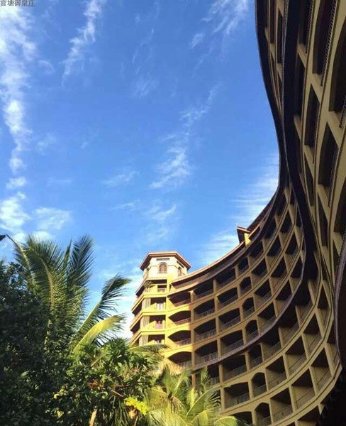 实景图