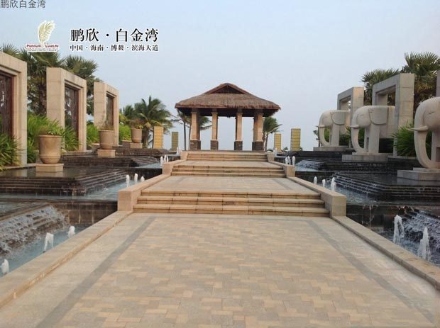 实景图