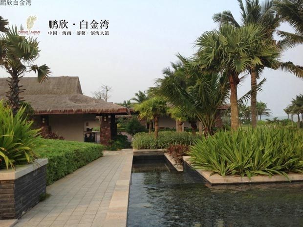 实景图