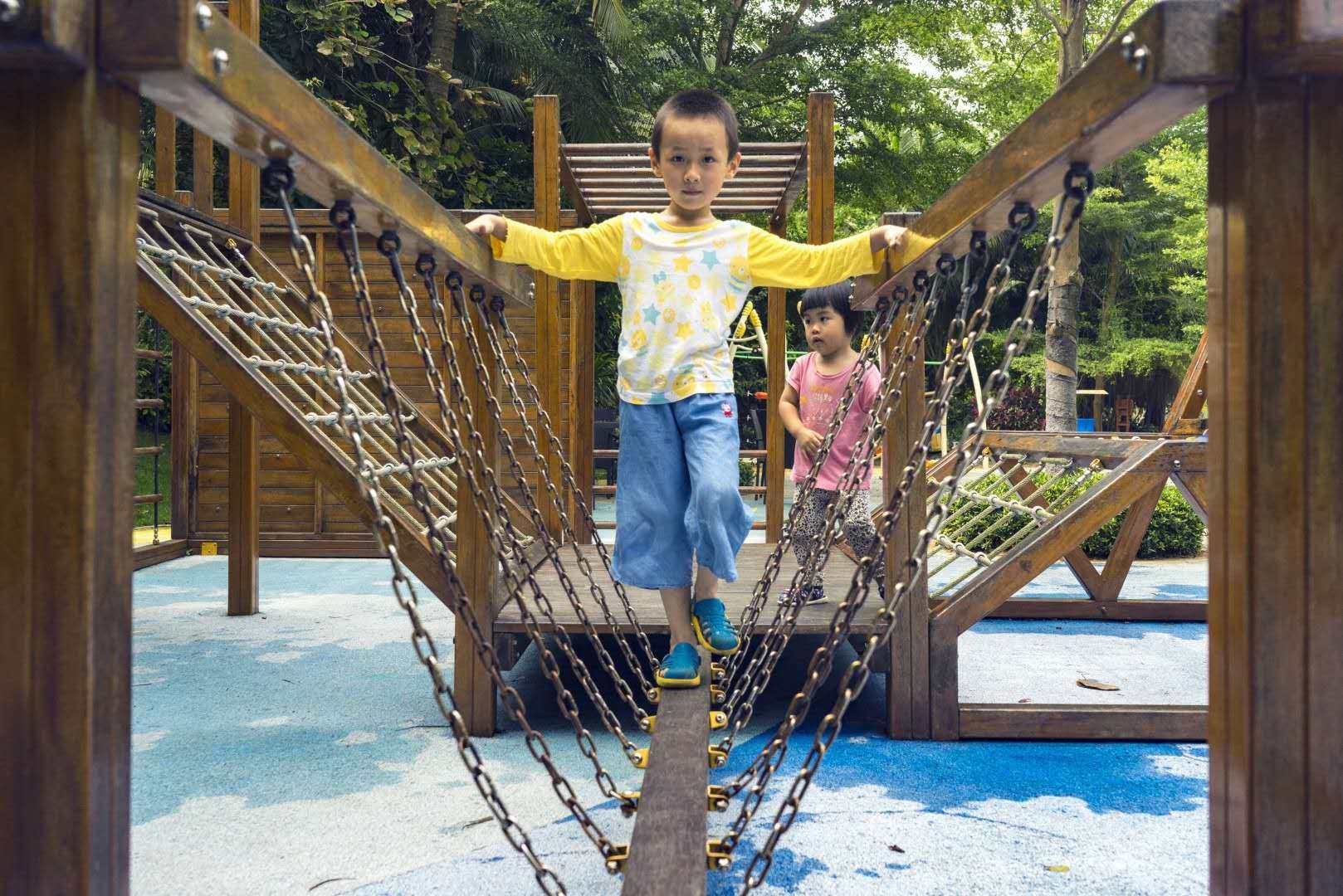 实景图