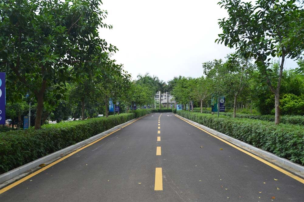 实景图