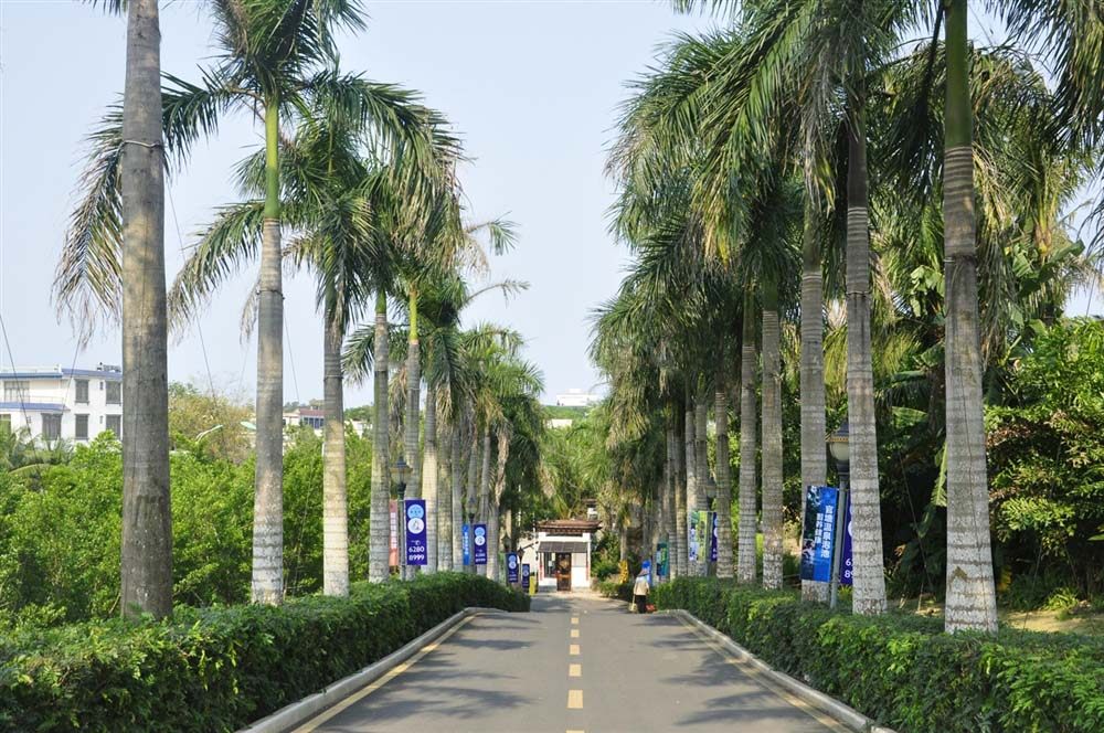 实景图