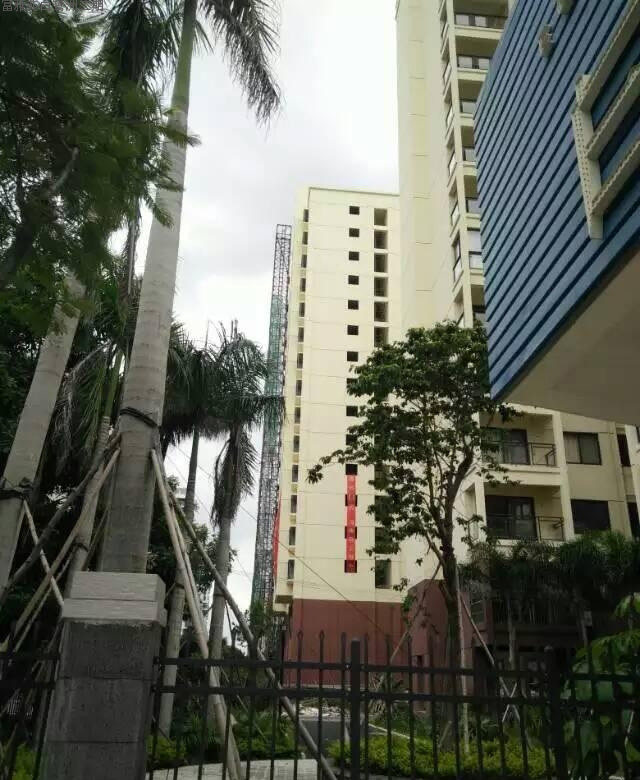 实景图
