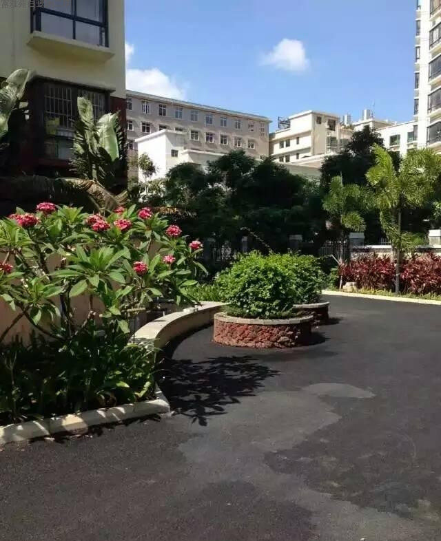 实景图