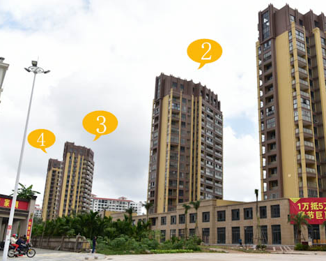 实景图