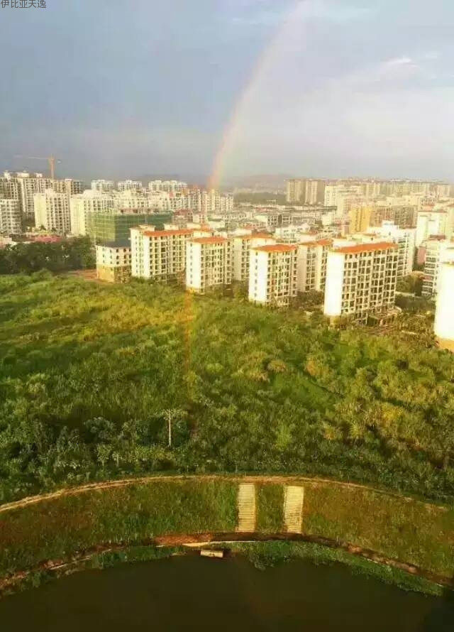 实景图