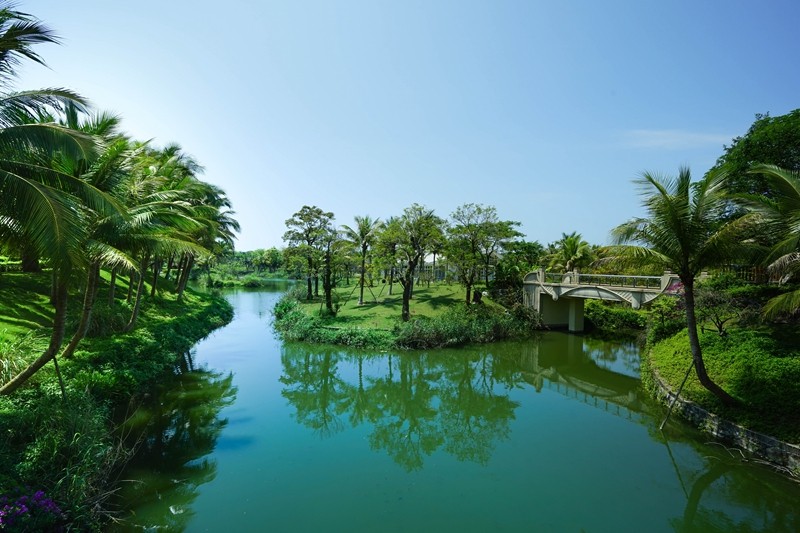 实景图
