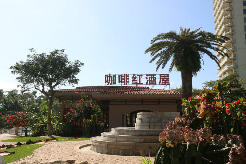 实景图