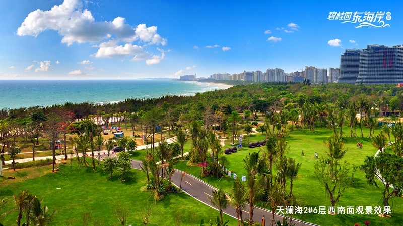 实景图