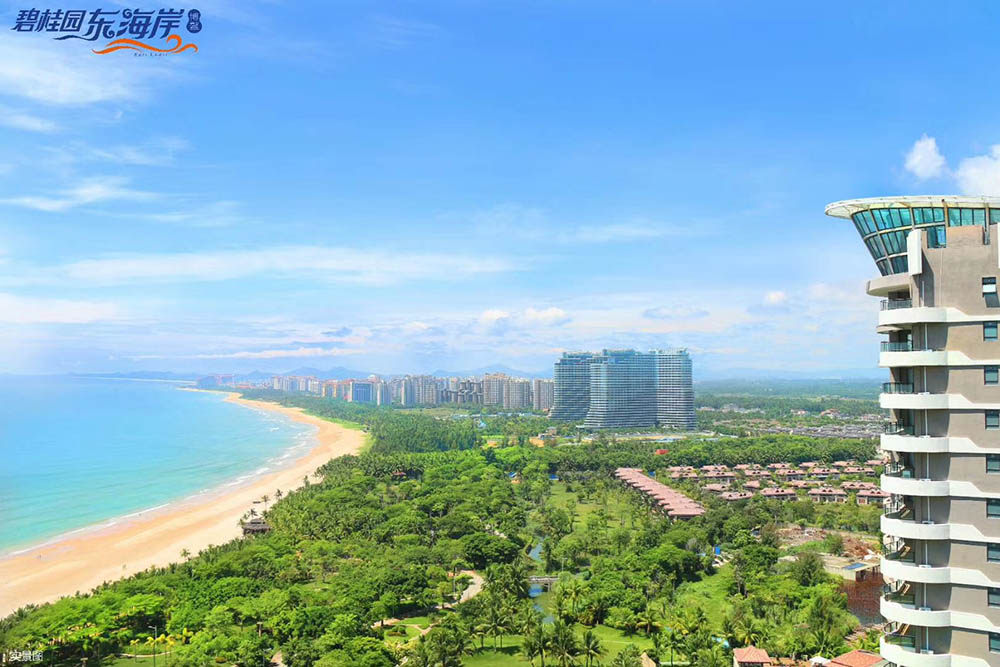 实景图