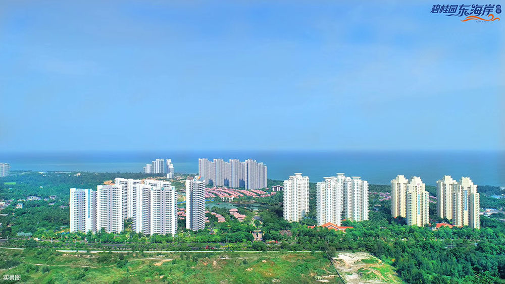实景图