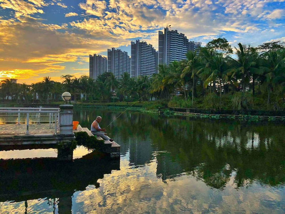 实景图