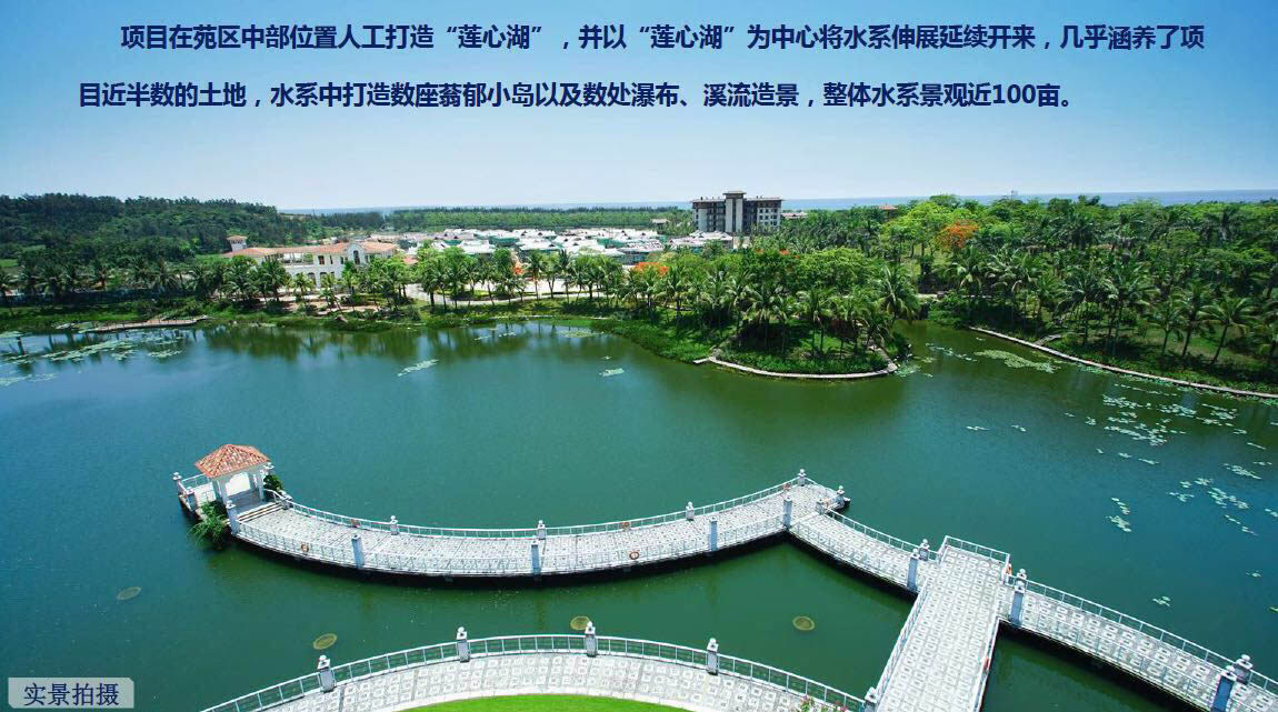 实景图