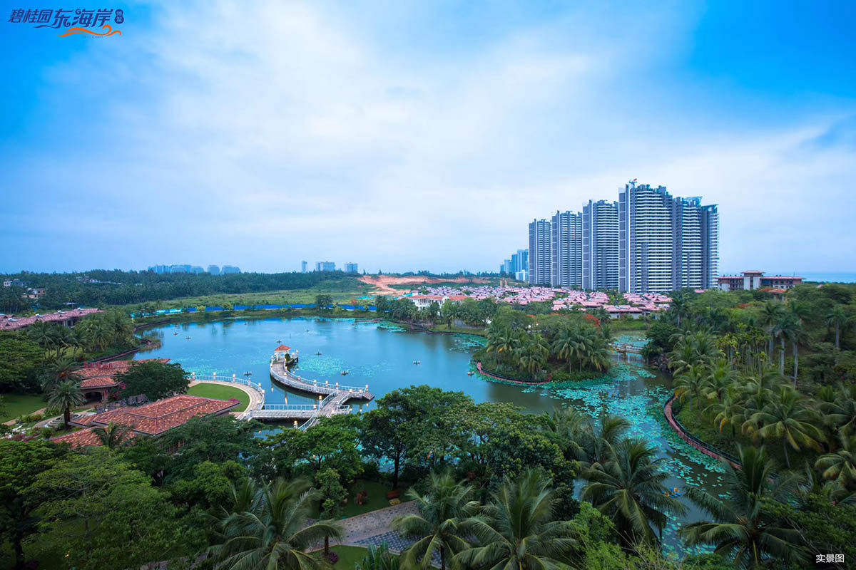 实景图