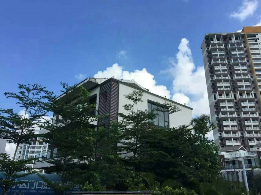 实景图