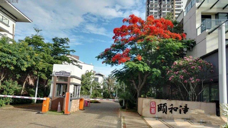 实景图