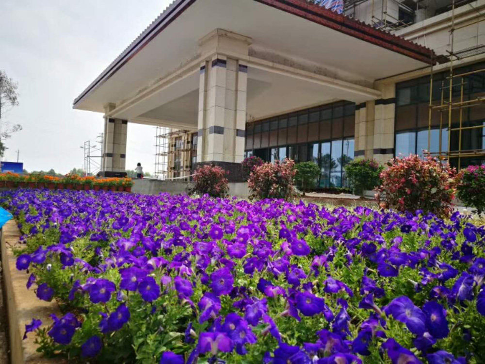 实景图