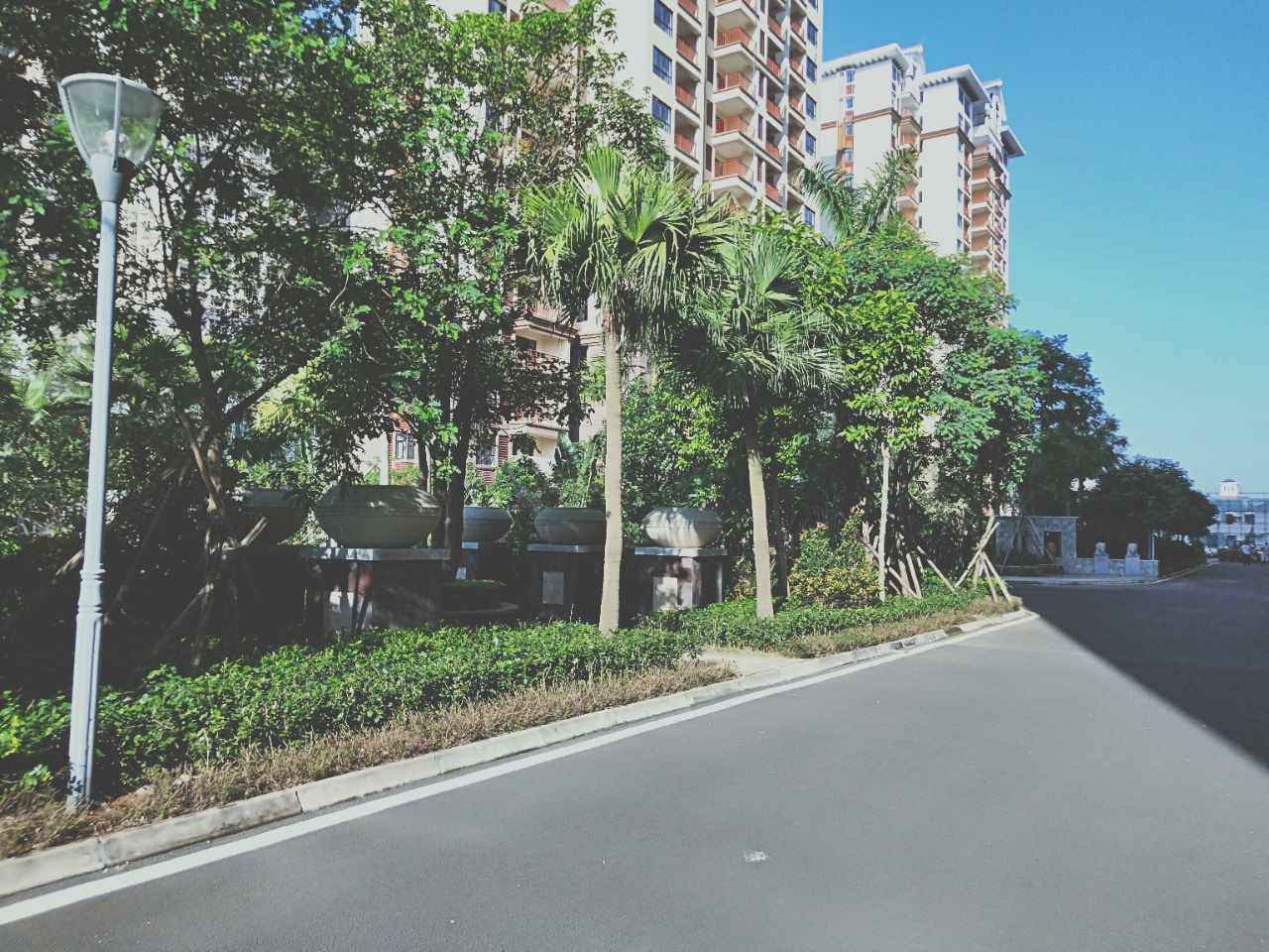 实景图
