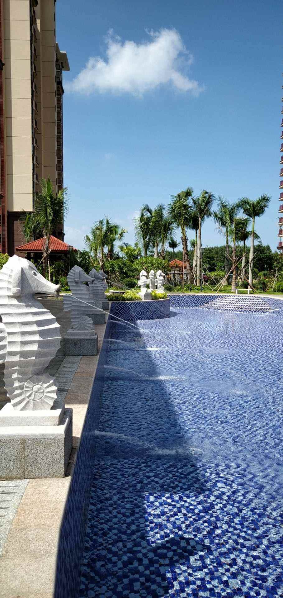 实景图