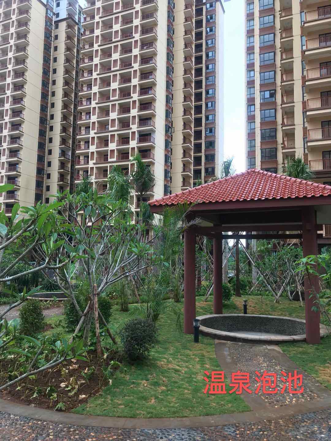 实景图