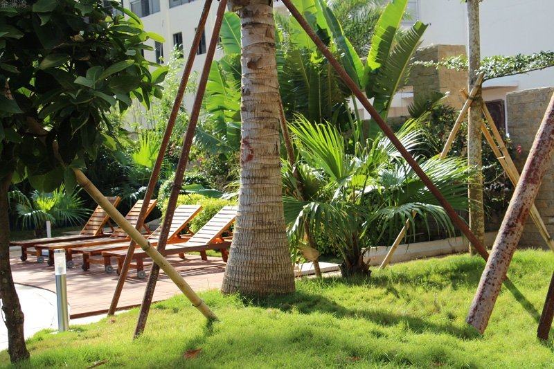 实景图