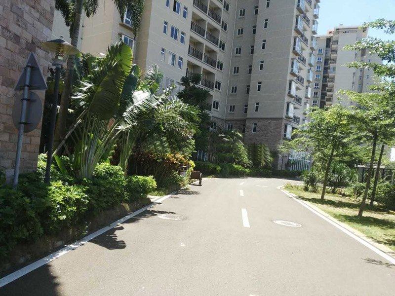 实景图