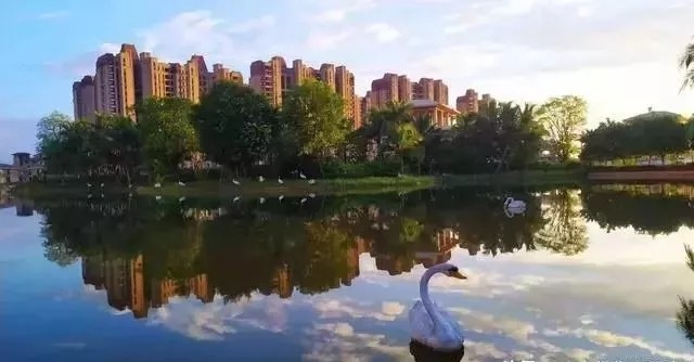 实景图