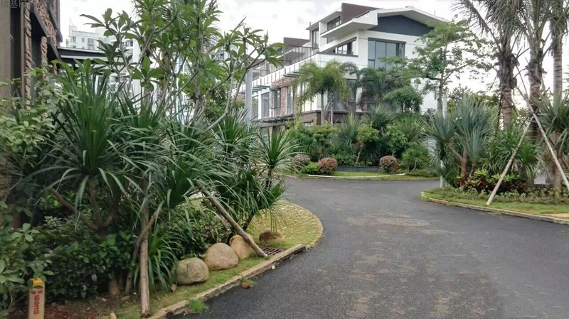 实景图