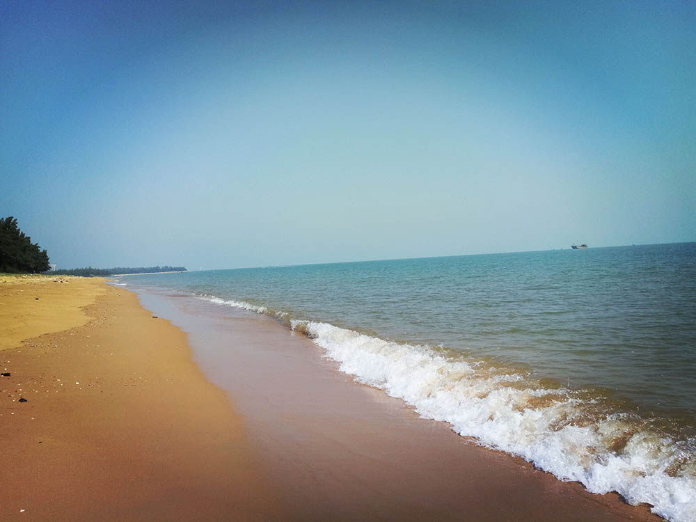 实景图