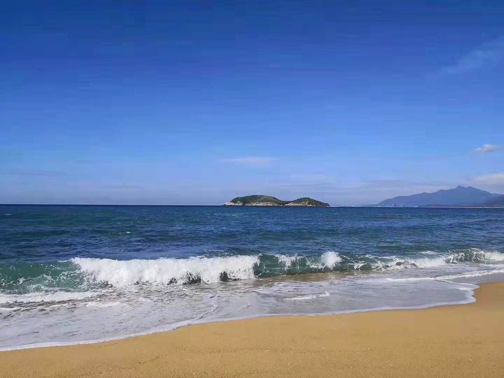 实景图