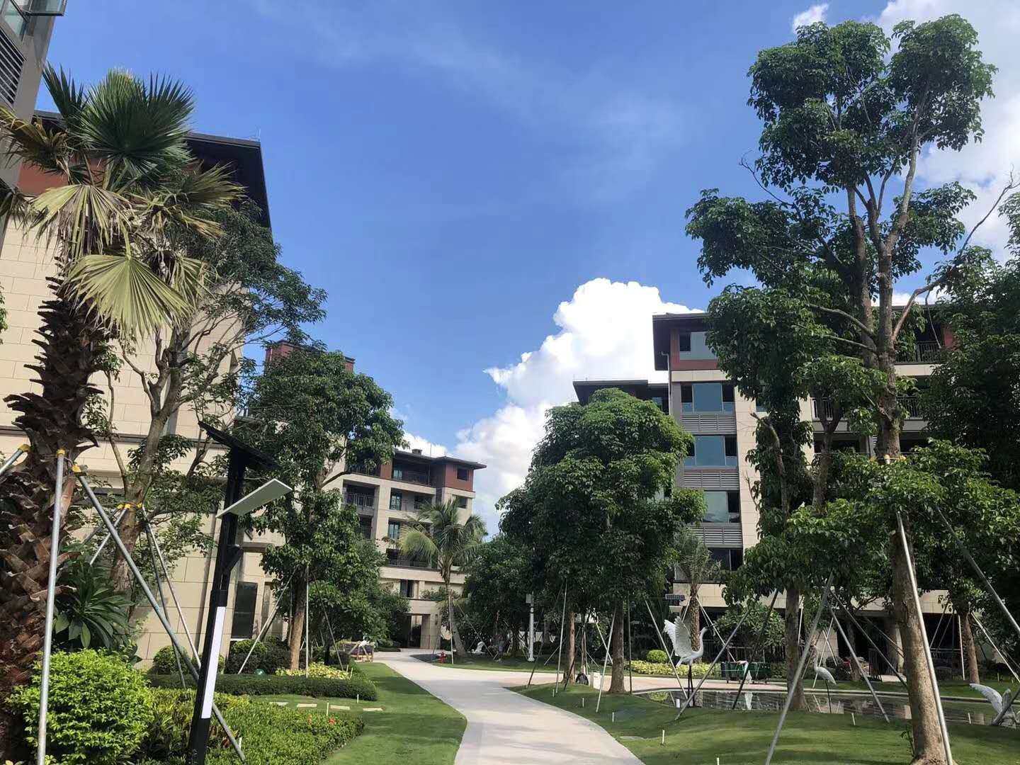 实景图