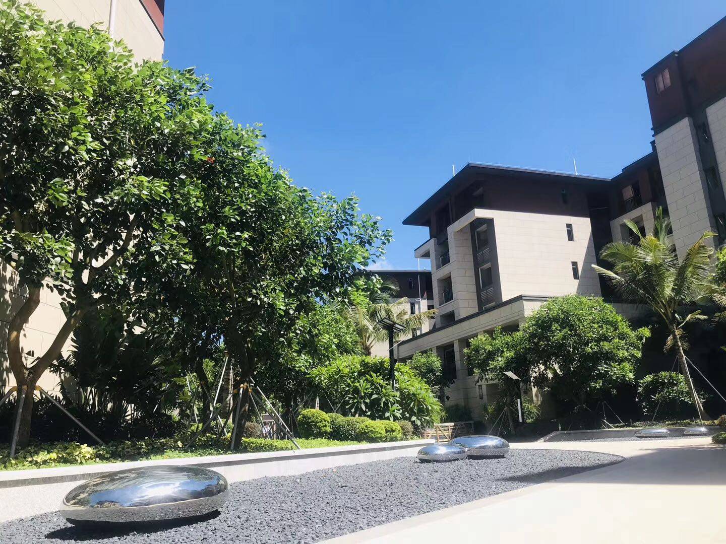 实景图