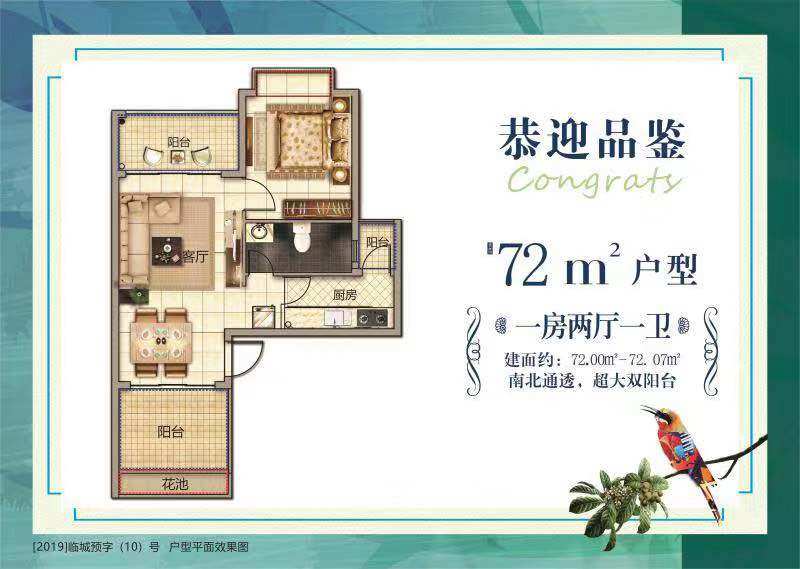1室户型