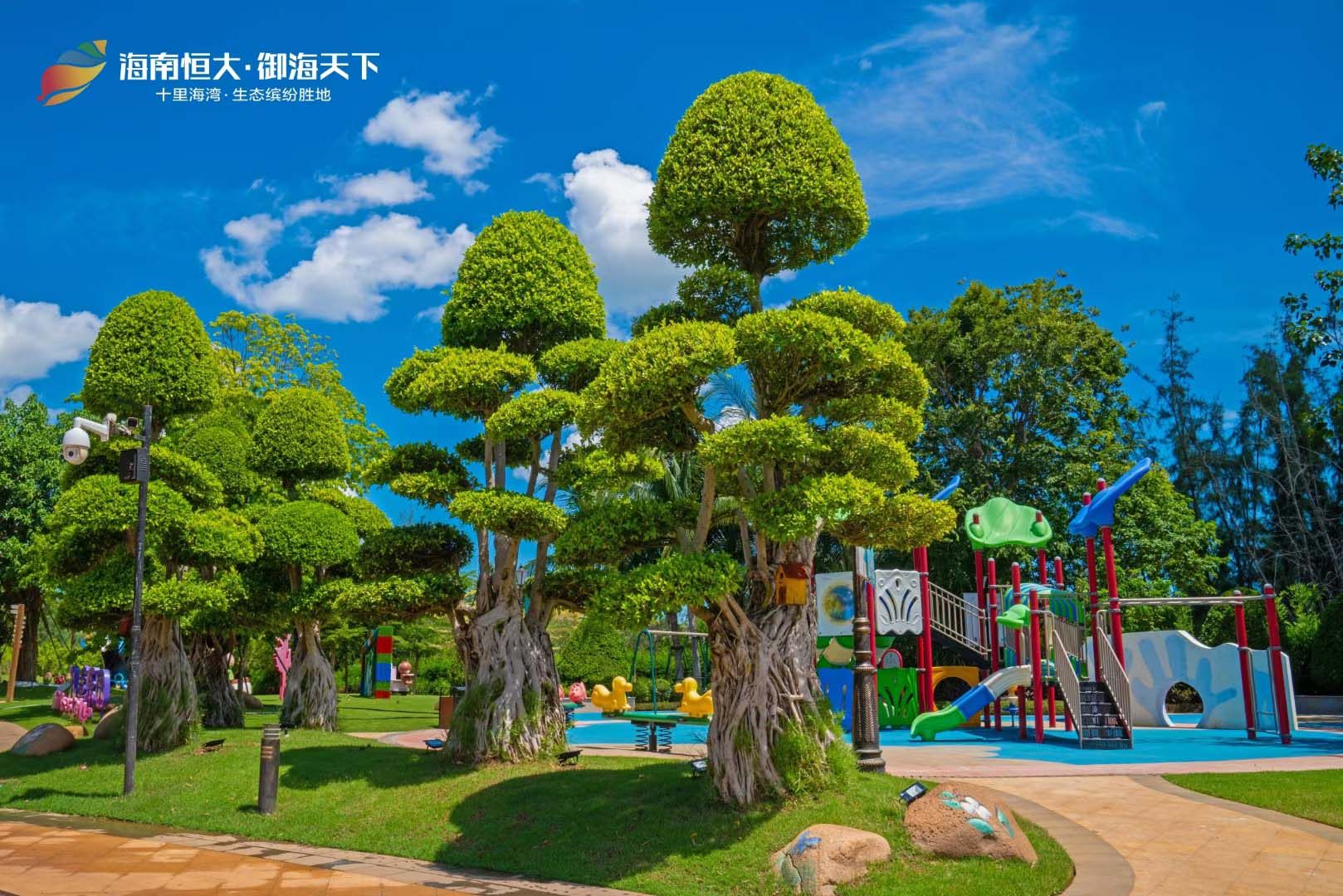 实景图