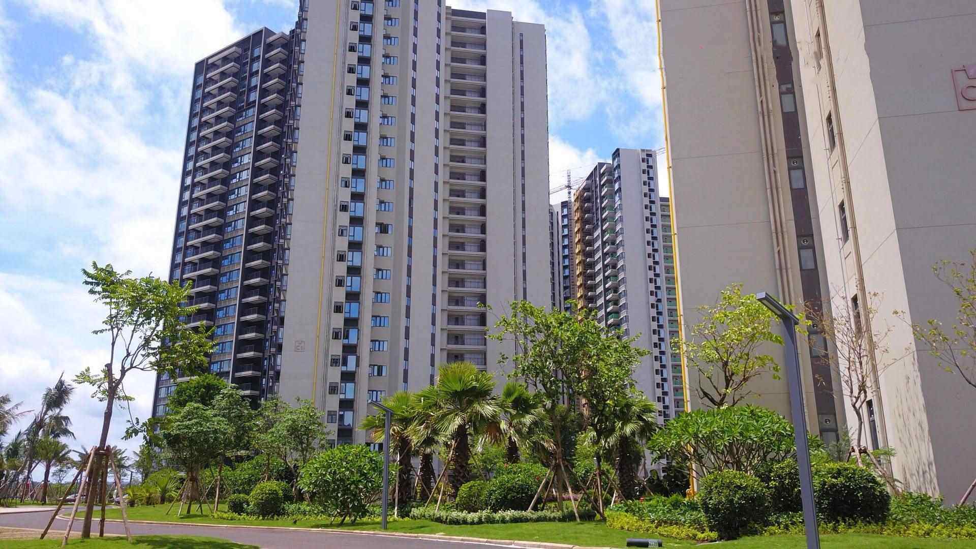 实景图