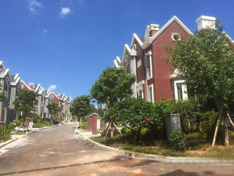 实景图