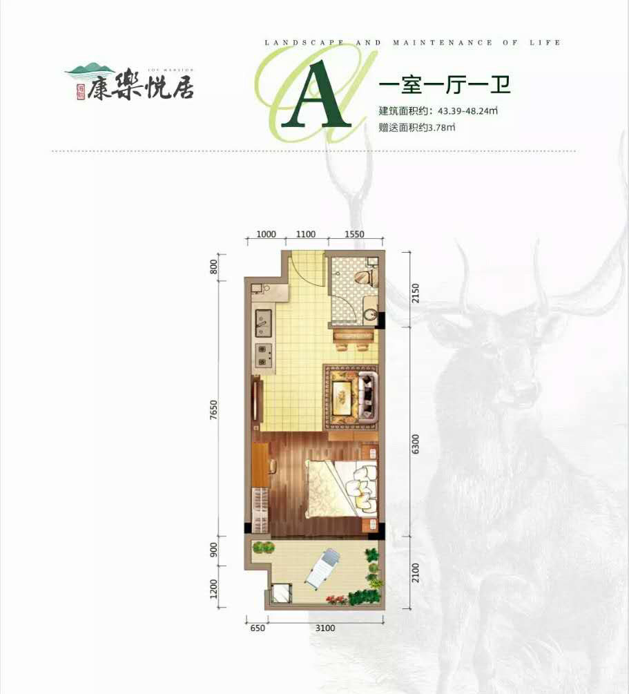 A户型