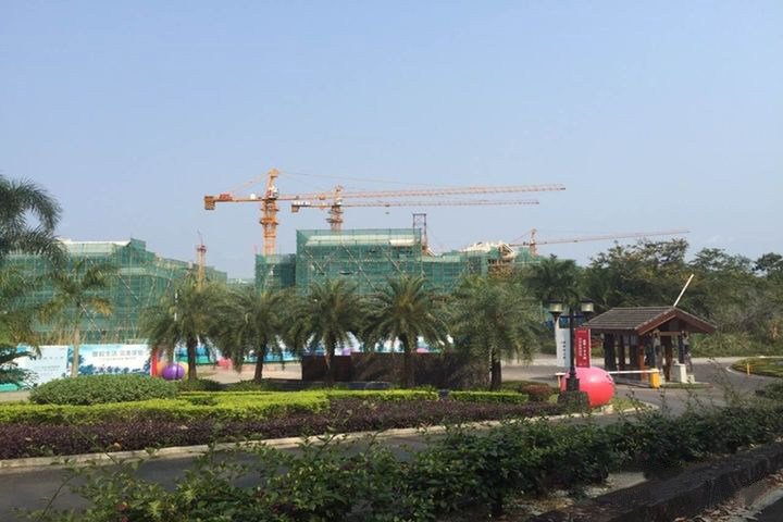实景图