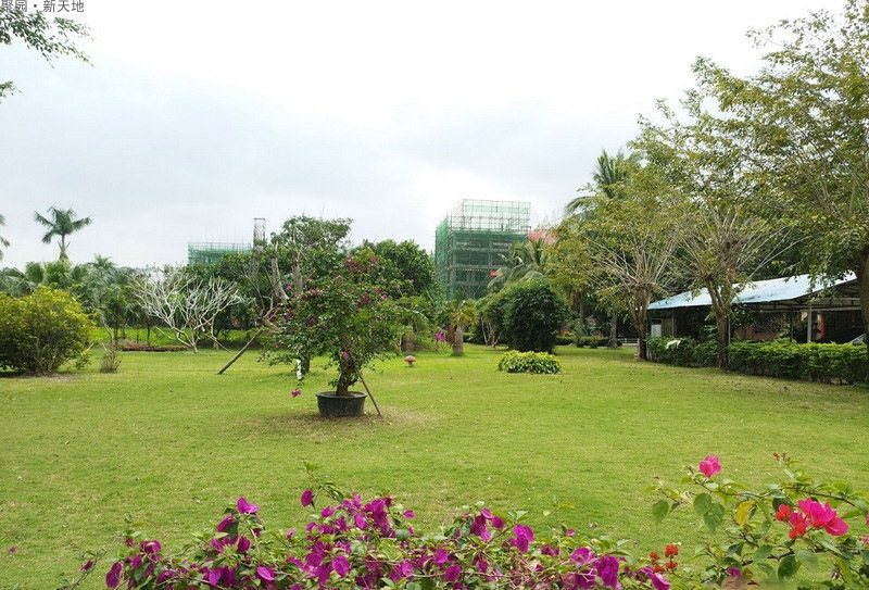 实景图